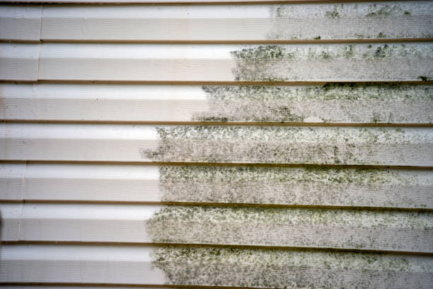 Best Custom Trim and Detailing for Siding  in Decatur, MS